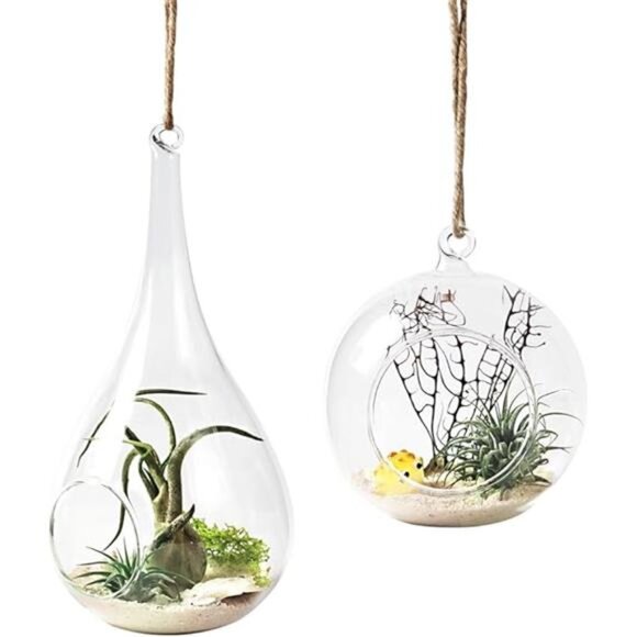 Mkono 2 Pack Glass Hanging Planter Air Fern Holder Terrarium Plants Hanger Vase - Picture 8 of 8